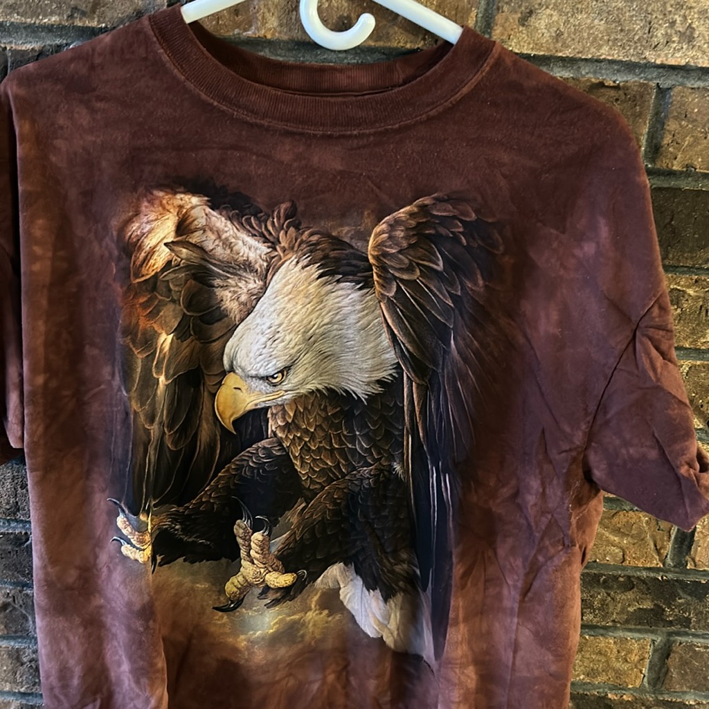 The Mountain Eagle